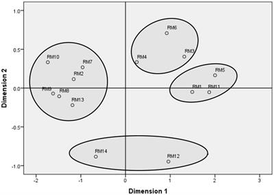 The psychology of romantic relationships: motivations and mate preferences